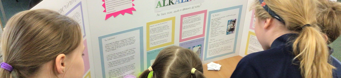 science fair