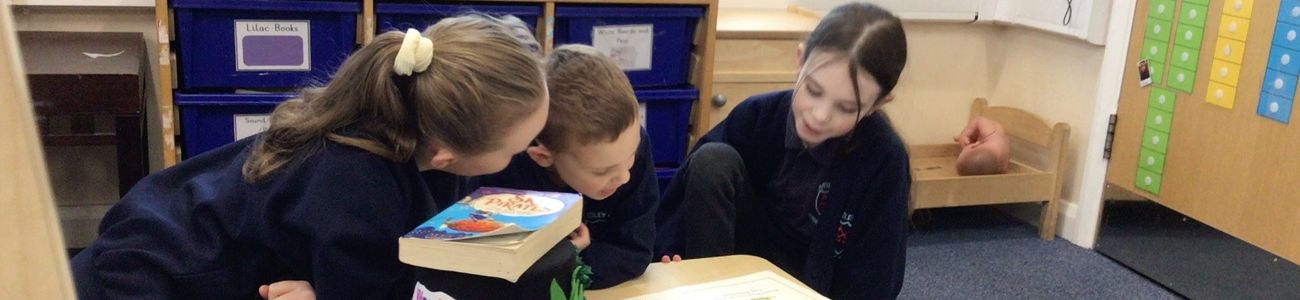book day